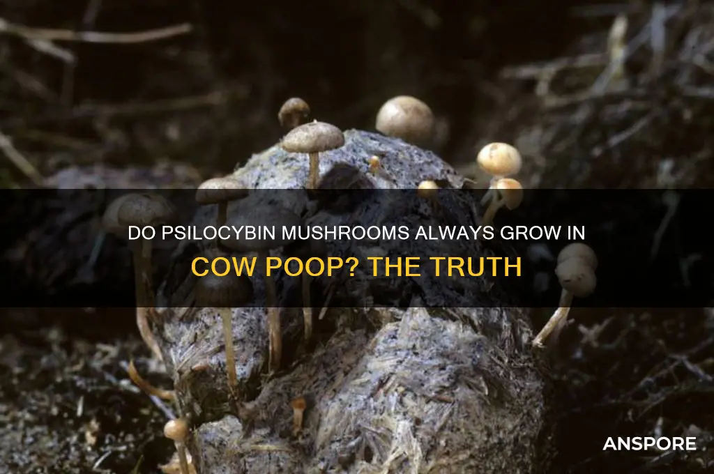do psilocybin mushrooms always grow in cow poop