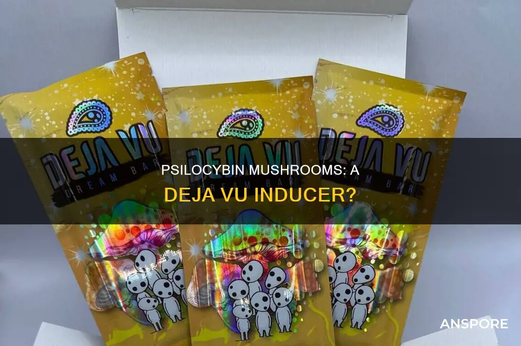 do psilocybin mushrooms cause deja vu