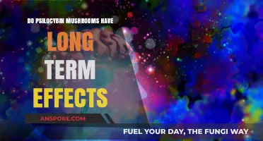 Psilocybin Mushrooms: Unveiling Potential Long-Term Effects and Implications