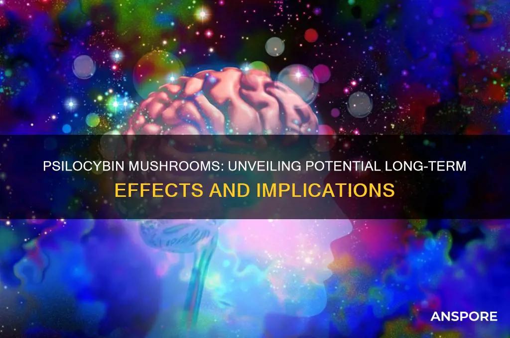do psilocybin mushrooms have long term effects