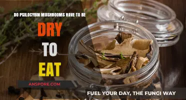 Can You Eat Psilocybin Mushrooms Fresh or Must They Be Dried?