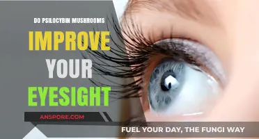 Psilocybin Mushrooms: Can They Enhance Your Vision?