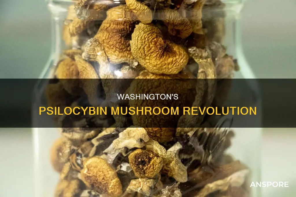 do psilocybin mushrooms in washington