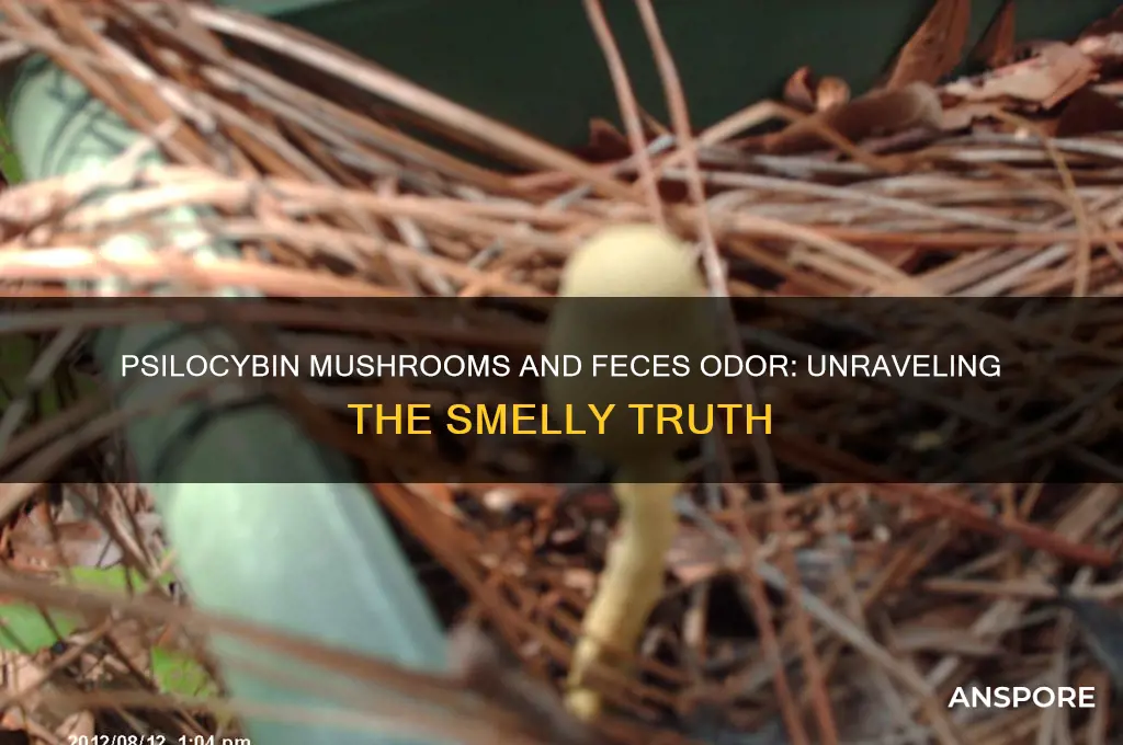 do psilocybin mushrooms make your feces smell