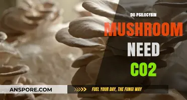 Psilocybin Mushrooms: CO2 Requirements for Growth