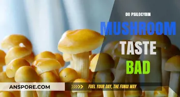 Do Psilocybin Mushrooms Taste Bad? Exploring the Flavor Profile