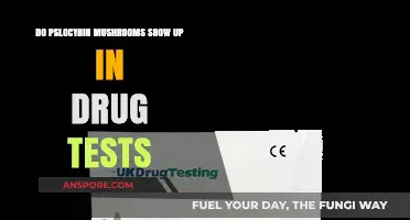 Psychedelic Mushrooms: Do They Show in Drug Tests?