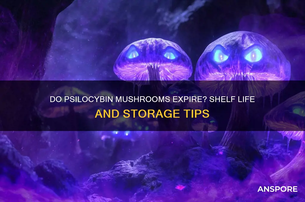 do psybocillan mushrooms go bad