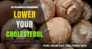 Magic Mushrooms: Can They Lower Cholesterol?