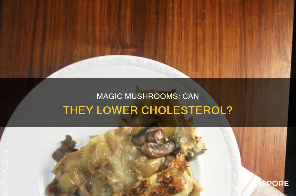 do psychadelic mushrooms lower your cholesterol