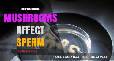 Psychedelic Mushrooms: Impact on Male Fertility?
