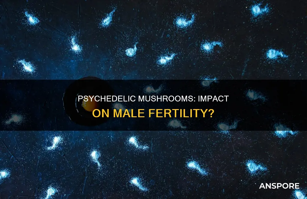 do psychedelic mushrooms affect sperm