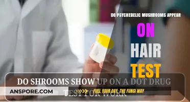 Psychedelic Mushrooms: Hair Test Detection?