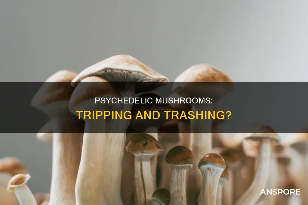 do psychedelic mushrooms cause diarrhea