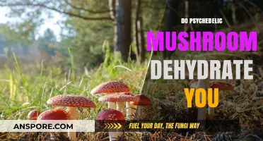 Psychedelic Mushrooms: Dehydration and You