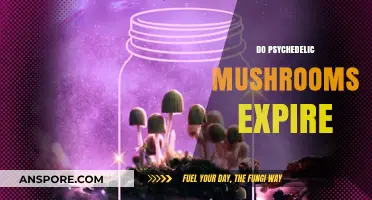Psychedelic Mushrooms: Do They Expire?