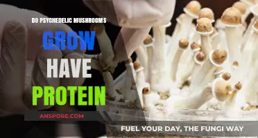 Psychedelic Mushrooms: Unveiling Their Protein Content and Nutritional Value