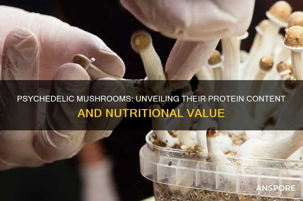 do psychedelic mushrooms grow have protein
