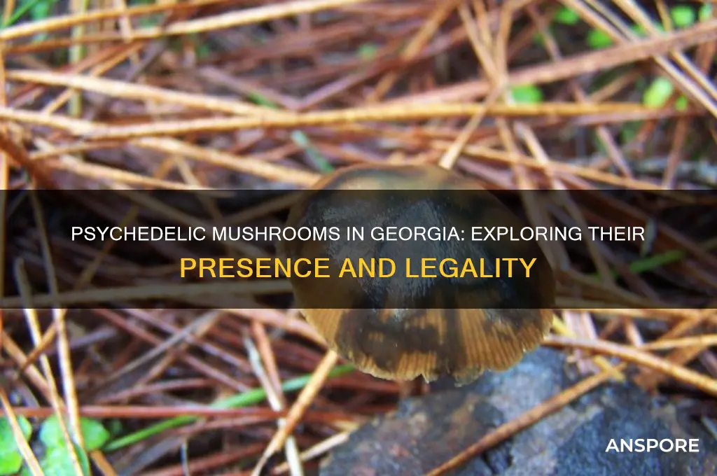 do psychedelic mushrooms grow in georgia