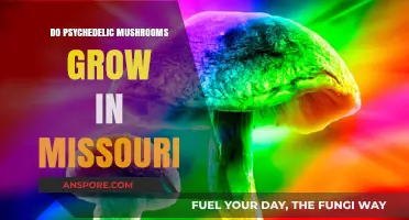 Exploring Missouri's Forests: Do Psychedelic Mushrooms Thrive Here?