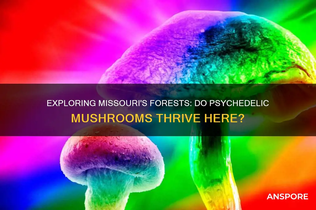 do psychedelic mushrooms grow in missouri