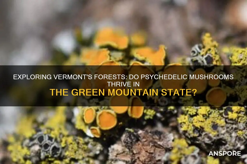 do psychedelic mushrooms grow in vermont