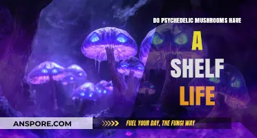 Psychedelic Mushrooms: How Long Do They Last?