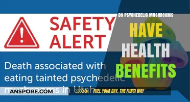 Psychedelic Mushrooms: Exploring Their Potential Health Benefits