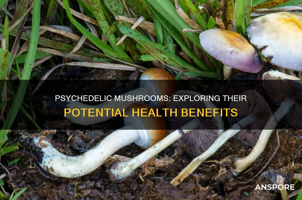 do psychedelic mushrooms have health benefits