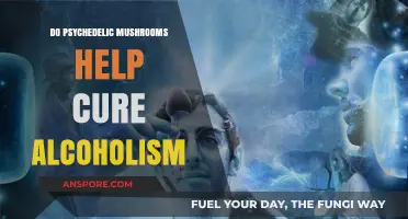 Psychedelic Mushrooms: A Cure for Alcoholism?