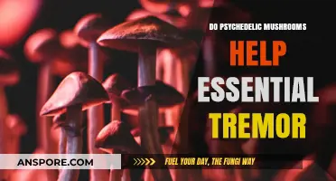 Psychedelic Mushrooms: Essential Tremor Treatment?