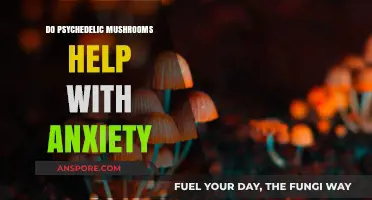 Psychedelic Mushrooms: Anxiety's Ally or Adversary?