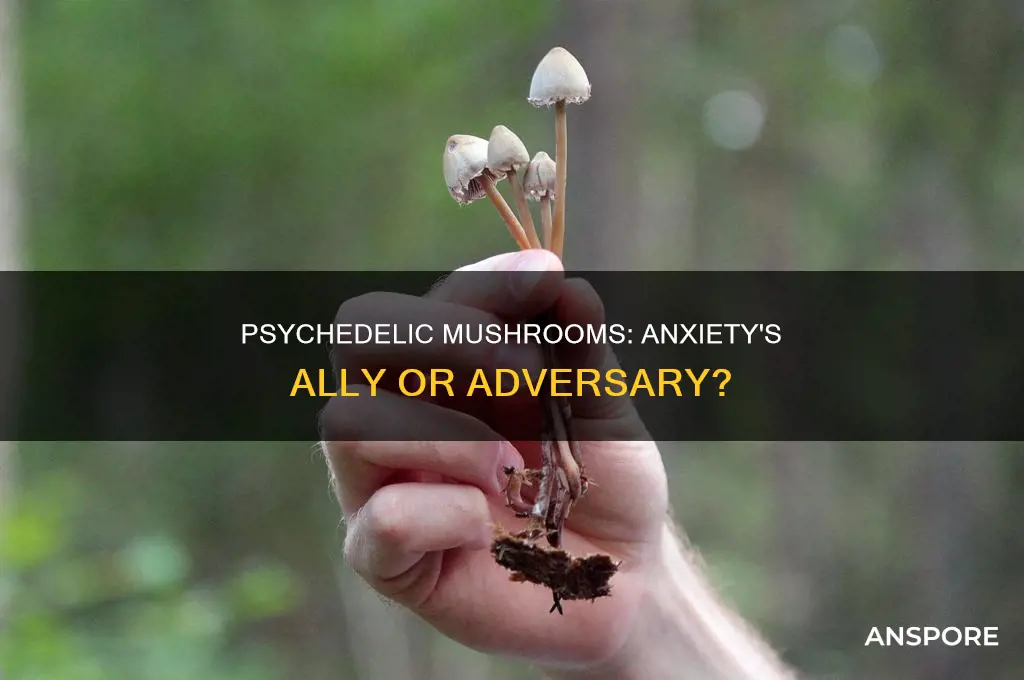 do psychedelic mushrooms help with anxiety
