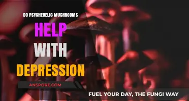 Psychedelic Mushrooms: A Potential Breakthrough for Treating Depression?
