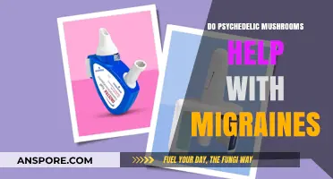 Magic Mushrooms: Migraine Relief or Headache?