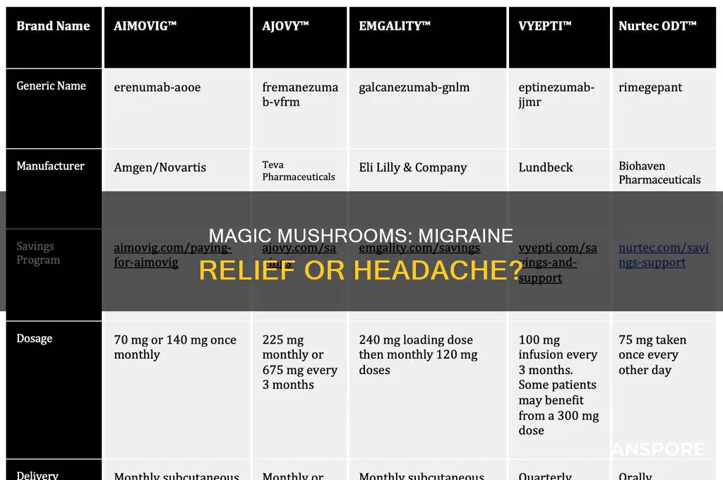 do psychedelic mushrooms help with migraines