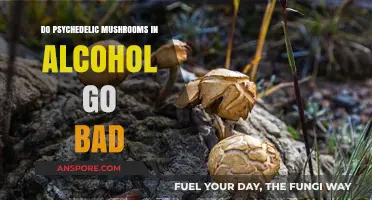 Psychedelic Mushrooms in Alcohol: Shelf Life and Safety Concerns