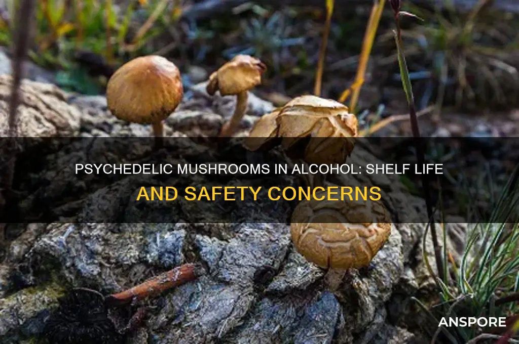 do psychedelic mushrooms in alcohol go bad