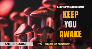 Psychedelic Mushrooms: A Trip to Sleeplessness?