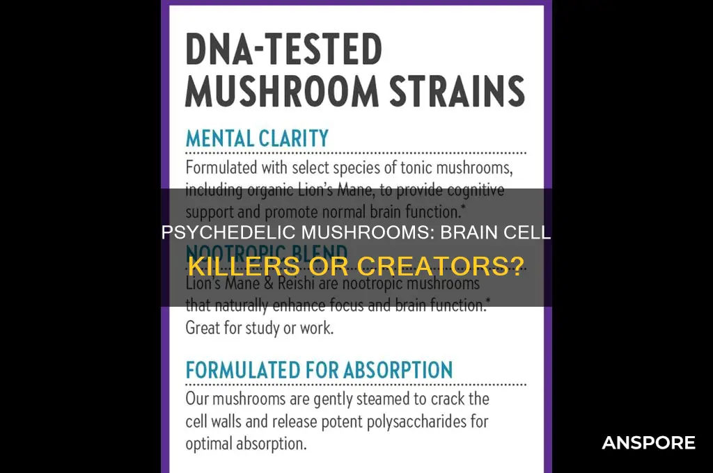 do psychedelic mushrooms kill brain cells