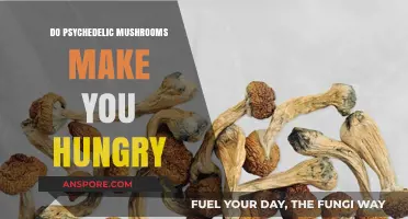 Psychedelic Mushrooms and Appetite: Do They Boost Hunger?