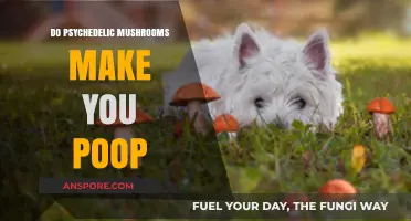 Psychedelic Mushrooms and Digestion: Unraveling the Poop Mystery