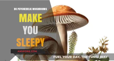Do Psychedelic Mushrooms Cause Sleepiness? Exploring Their Effects on Energy