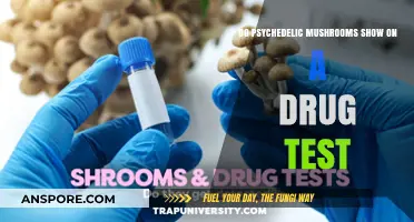 Psychedelic Mushrooms: Will Drug Tests Detect Them?