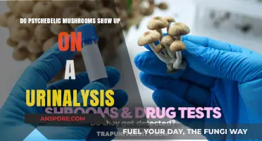 Psychedelic Mushrooms: Detectable in Urine?