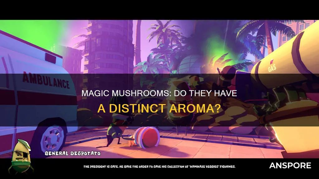 do psychedelic mushrooms smell