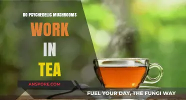 Psychedelic Mushroom Tea — Does It Work?