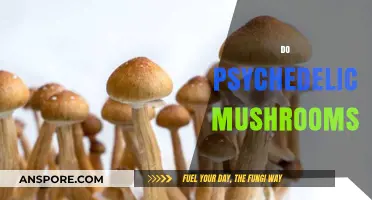Psychedelic Mushrooms: A Trip to the Unknown
