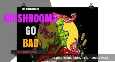 Do Psychedelic Mushrooms Expire? Shelf Life and Storage Tips