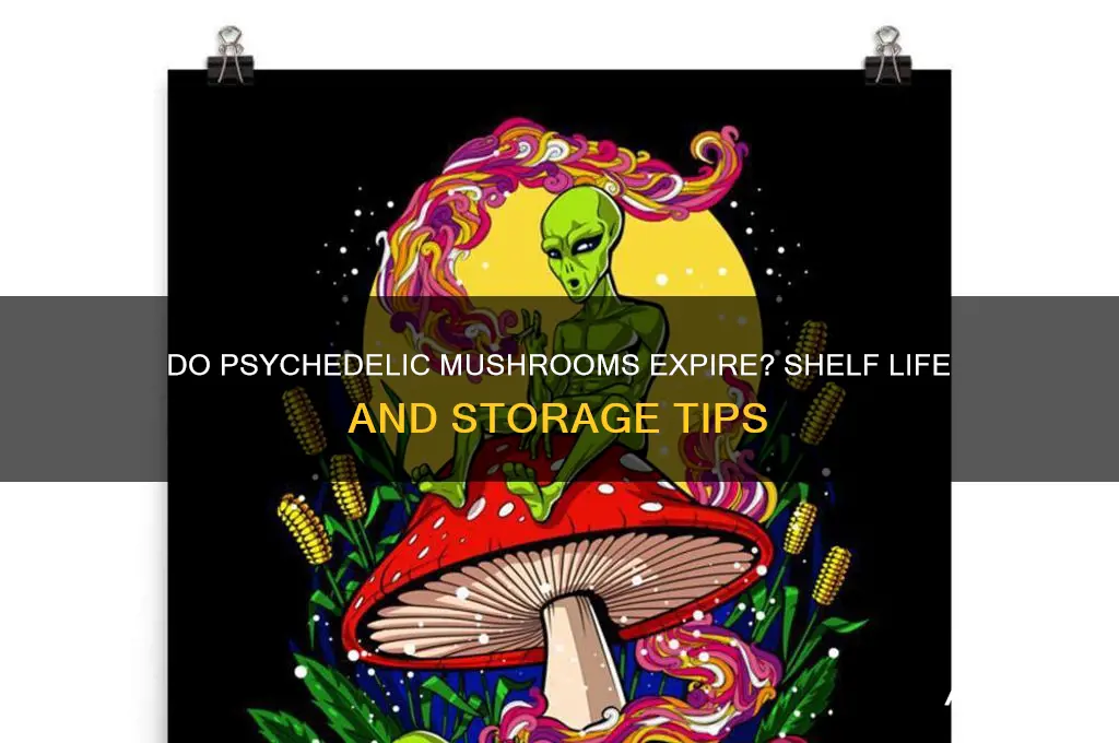 do psychedlic mushrooms go bad